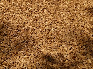 shredded-7326_1920