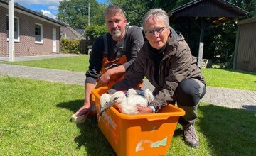 Alexander Fink und Ursel Richelshagen