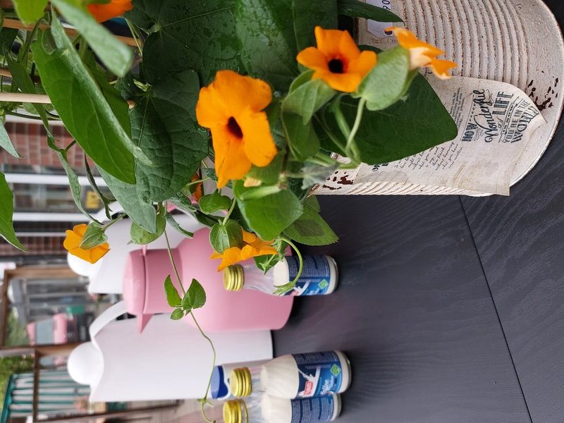 Wochenmarkt-Frühstück Stadtradeln 2024