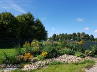 Schulgarten 2017-2