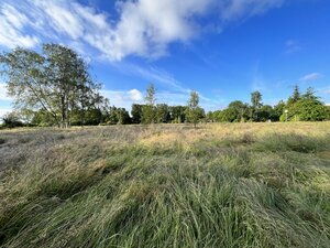 Kurpark Bederkesa
