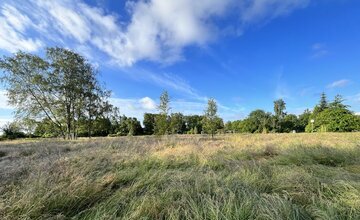 Kurpark Bederkesa