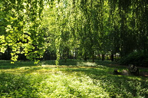 Park Langen