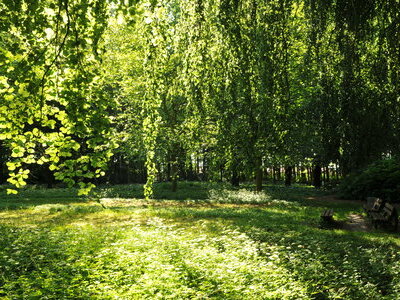 Park Langen