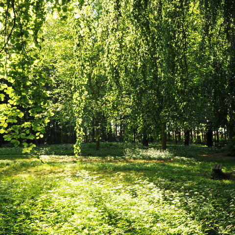 Park Langen