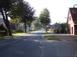 Ansicht Hauptstraße mit Baumallee, Grünstreifen und Fußweg innerhalb der bebauten Ortschaft