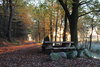 Wald Kührstedt