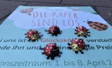 Glückskäfer auf Plakat