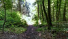 langen_friedrichsruh_weg_2_9339604743_o