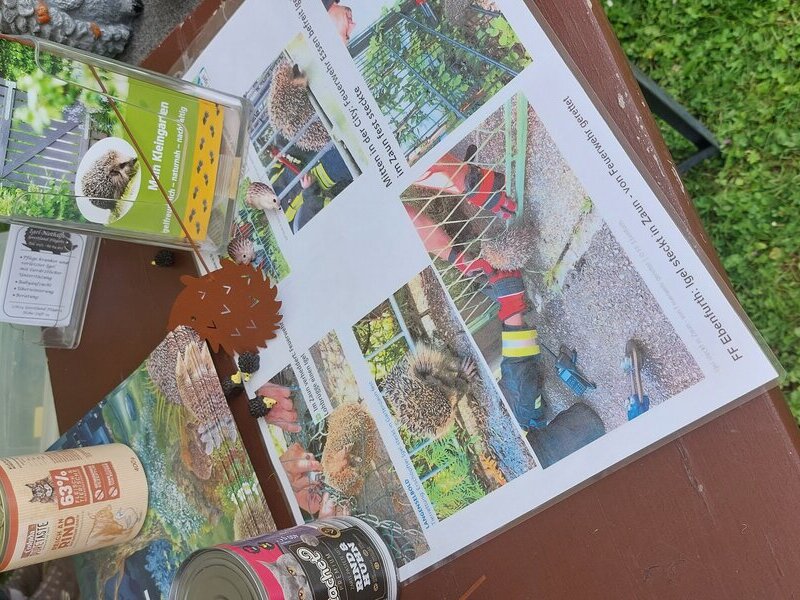 Tag der StadtNatur_Stadtradeln 2024