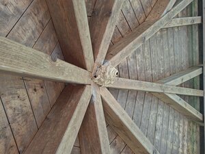 Hornissennest