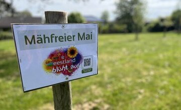 Schild Mähfreier Mai