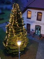Weihnachtsbaum Bild Holßel - Heimat-und Dorfverschönerungsverein Holßel e.V. Weihnachtsbaum Bild Holßel