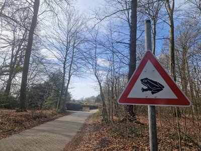 Schild Krötenwanderung