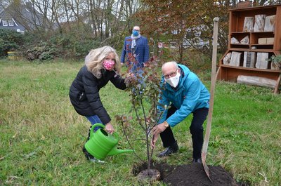 Stadt Geestland pflanzt Apfelbaum hinterm Langener Rathaus