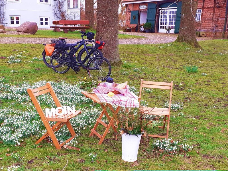 Bild Sommerfrühstück