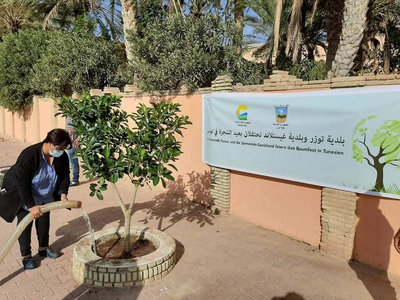 Die Vize-Bürgermeisterin von Tozeur gießt einen Kautschukbaum