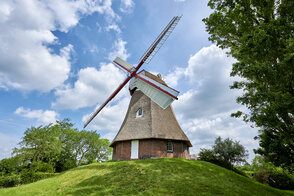 Windmühle - Florian Trykowski