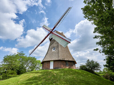 Windmühle - Florian Trykowski