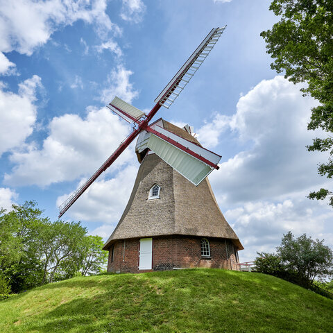 Windmühle - Florian Trykowski