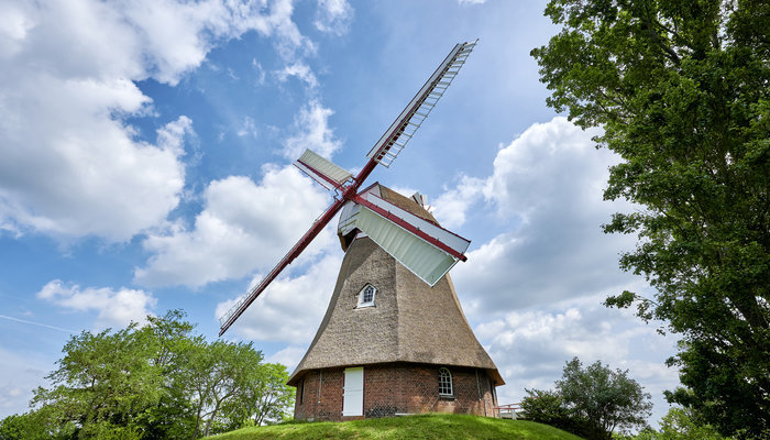 Windmühle - Florian Trykowski