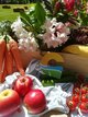 Obst und Gemüse am Tag der StadtNatur