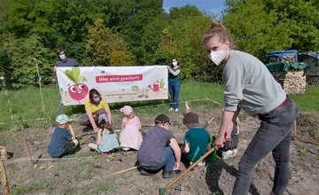 Kinder ackern in Drangstedt