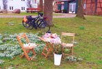 Bild Sommerfrühstück.