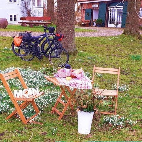 Bild Sommerfrühstück.