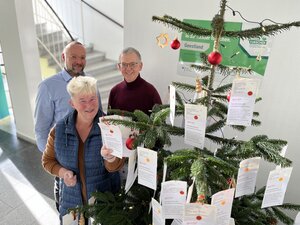 Pastor Dirk Glanert (von links), Karola Kullmann und Johann Haack neben dem Wunschbaum