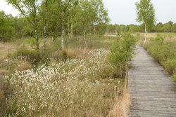 Flögelner Natur