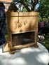 Bienenschaukasten 