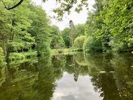 Wald und See