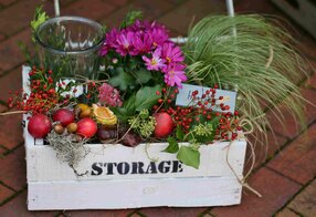 Sieverner Herbstmarkt, Dorpleven Sievern e