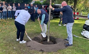 Geestlands Bürgermeisterin Gabi Kasten, Landrat Thorsten Krüger und Ortsbürgermeister Rafael Platek pflanzen gemeinsam einen Baum