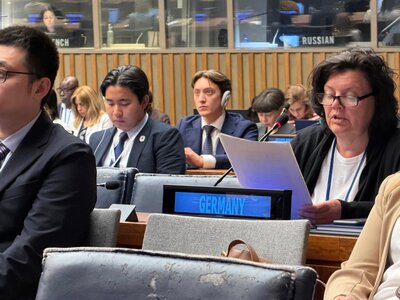 Gabi Kasten beim HLPF in New York