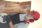 Holzbildsäger