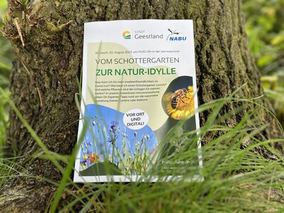 Plakat Infoveranstaltung