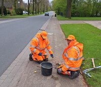 Handwerker beseitigen Mängel in Köhlen