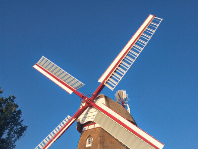 Mühle von Osten