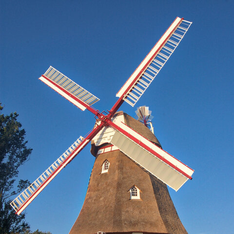 Mühle von Osten